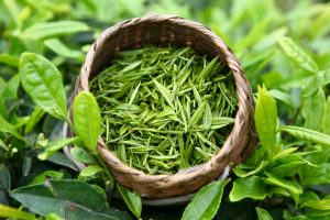 Как зеленый чай влияет на давление: понижает или повышает?