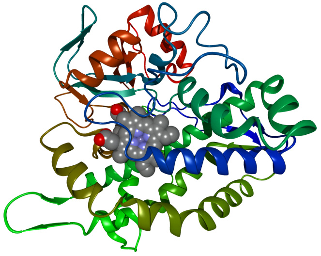 Цитохром Р 450 молекула