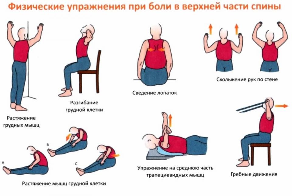 Гимнастика и лфк при грыжах в грудном отделе 6 упражнений