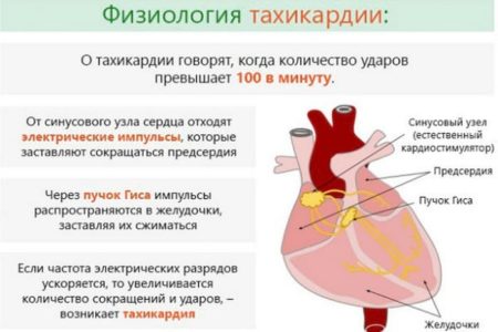 Причины и лечение учащенного сердцебиения при пониженном давлении