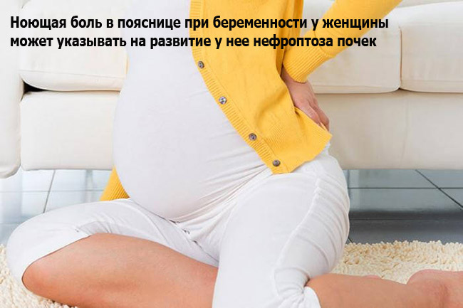 Ноющая боль в пояснице при беременности