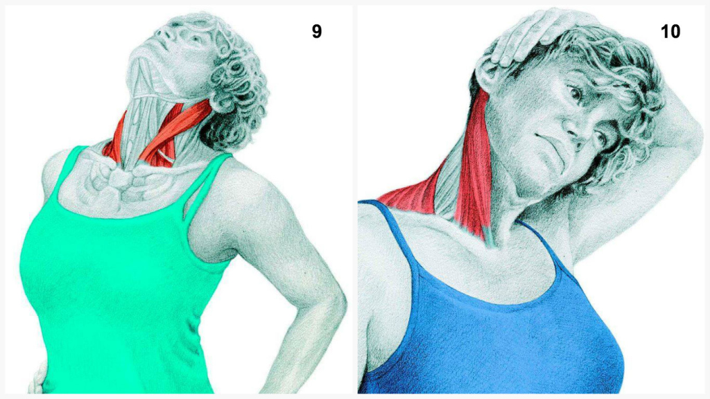 6 причин боли в шее как оказать первую помощь?