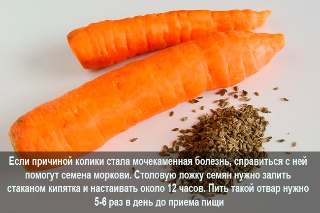Семена моркови для лечения почек