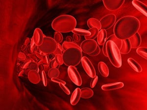 Густая кровь — причины, питание, лечение