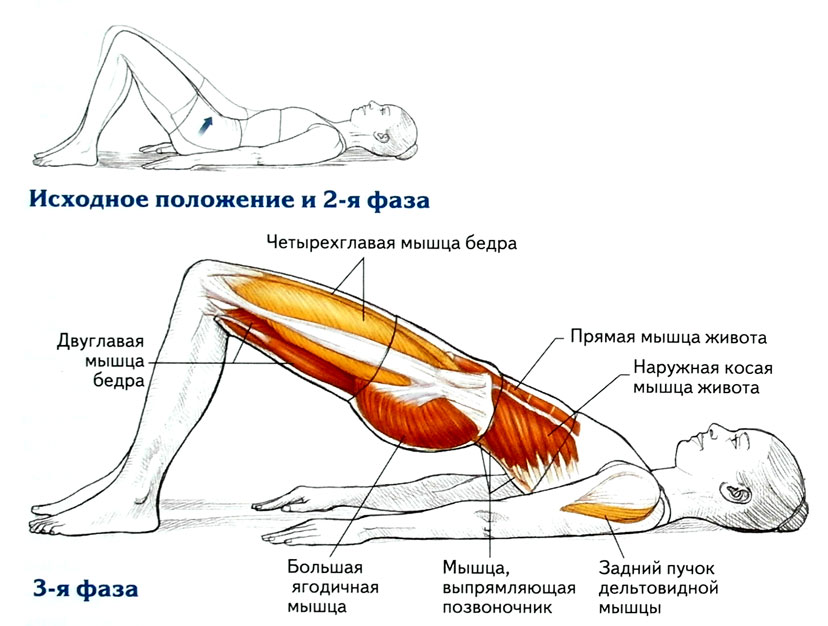 8 противопоказаний гимнастики для копчика + массаж