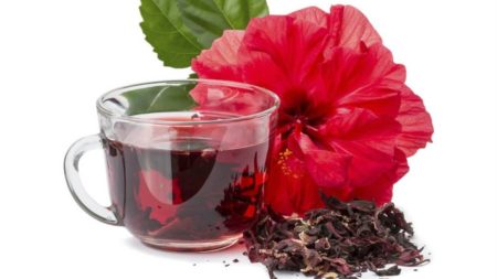 Полезные свойства и побочные эффекты чая каркаде: как он может повысить, или понизить давление