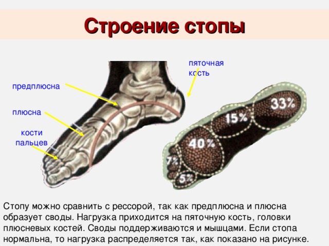 Перелом большого пальца ноги 4 признака, ношение гипса и реабилитация